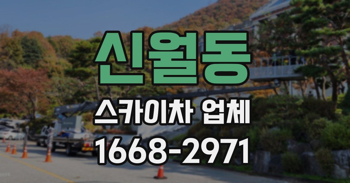 신월동 스카이차 업체