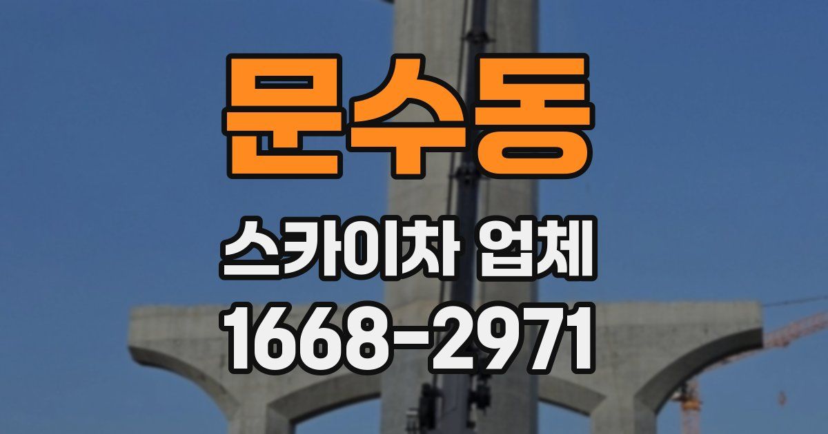 문수동 스카이차 업체