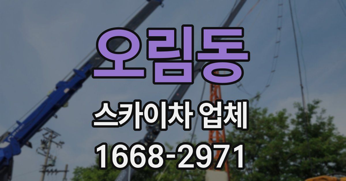 오림동 스카이차 업체