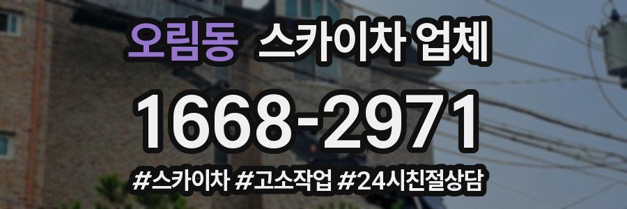 오림동 스카이차 업체