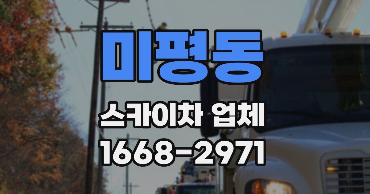미평동 스카이차 업체
