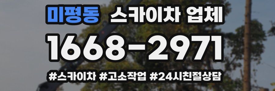 미평동 스카이차 업체