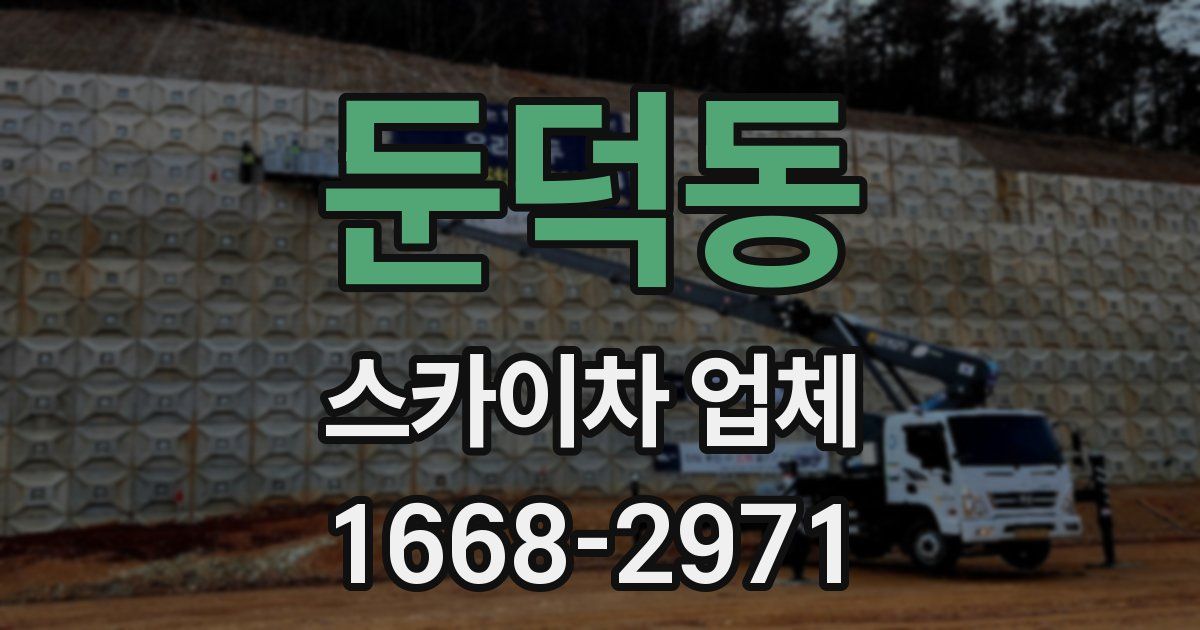 둔덕동 스카이차 업체