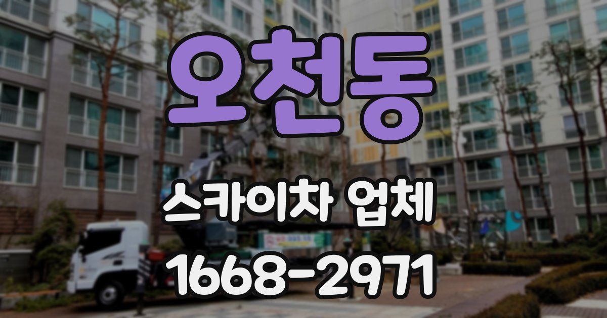 오천동 스카이차 업체