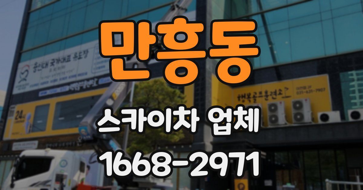 만흥동 스카이차 업체