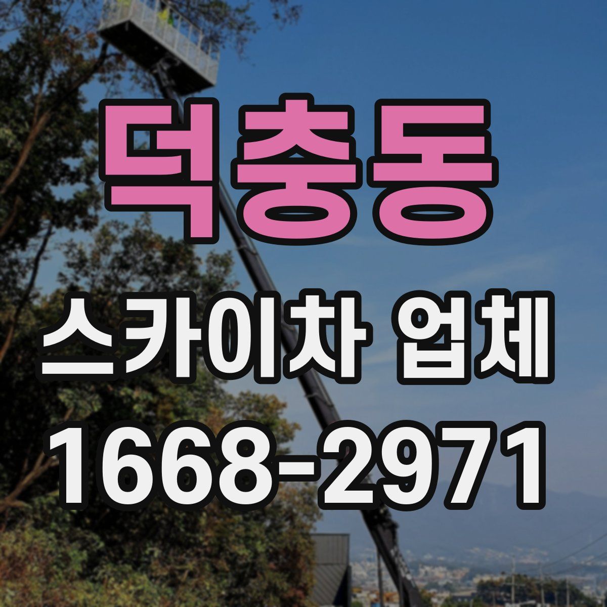 덕충동 스카이차 업체
