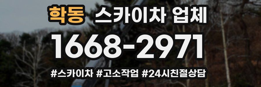학동 스카이차 업체