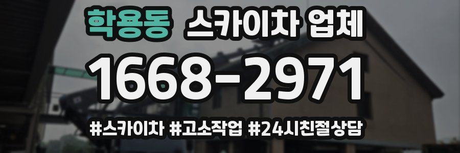 학용동 스카이차 업체