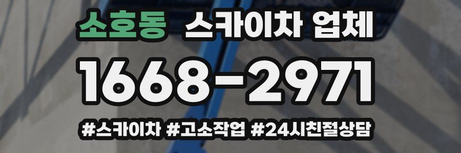 소호동 스카이차 업체