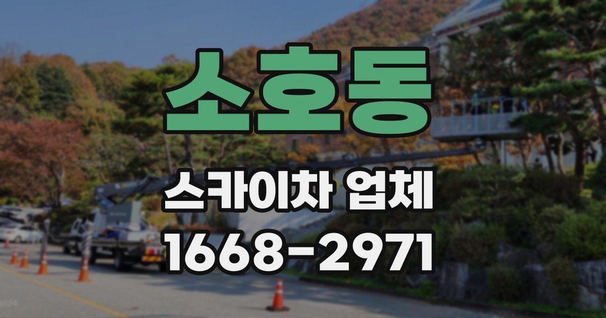 소호동 스카이차 업체