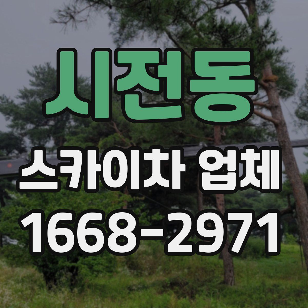 시전동 스카이차 업체