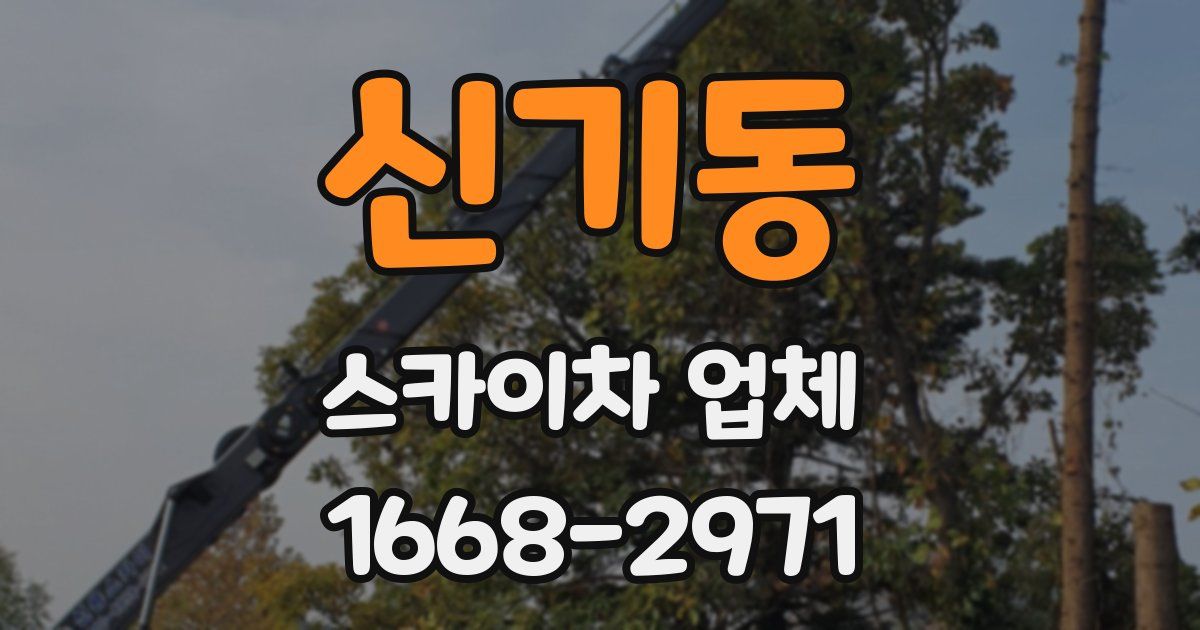신기동 스카이차 업체