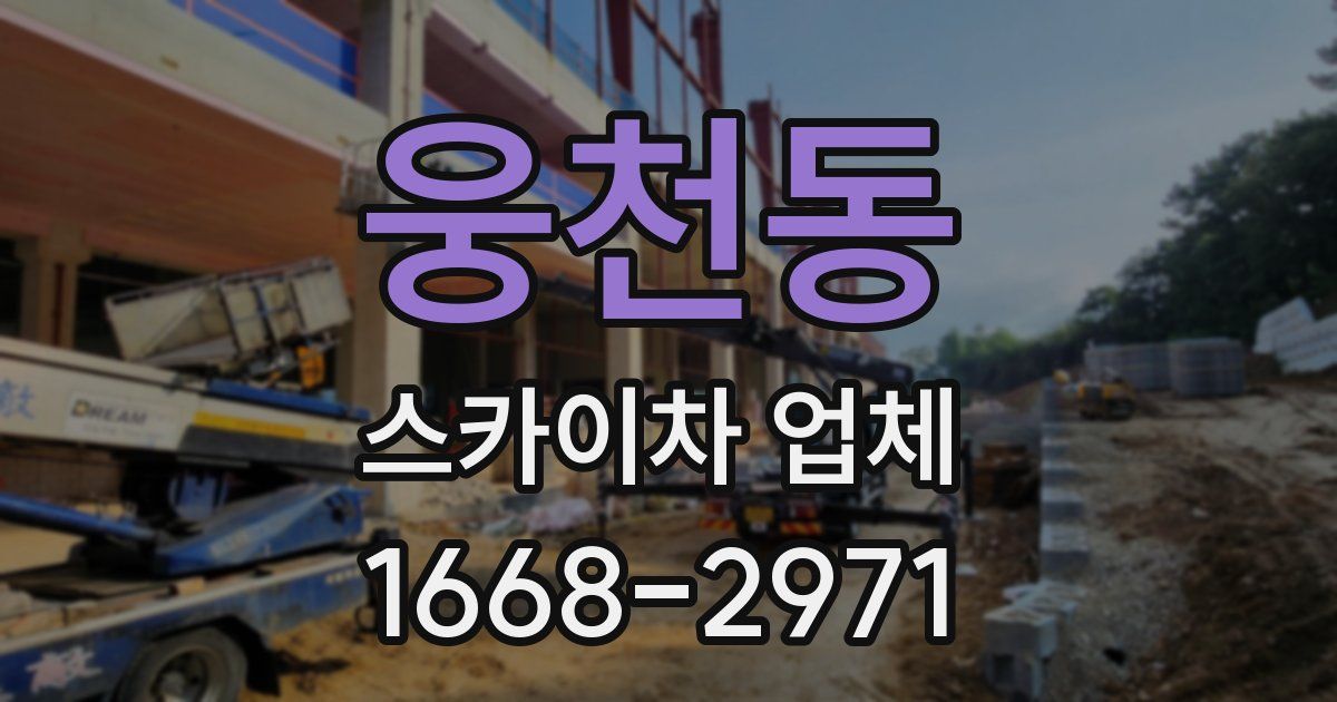 웅천동 스카이차 업체