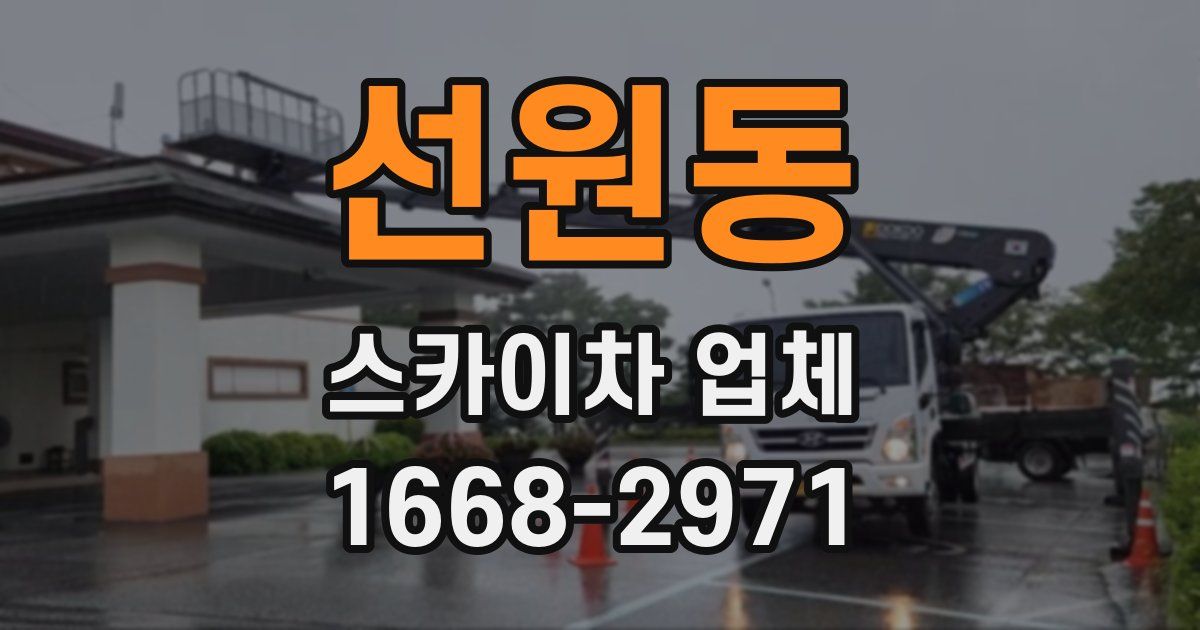 선원동 스카이차 업체