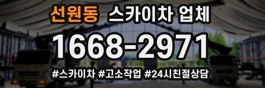 선원동 스카이차 업체