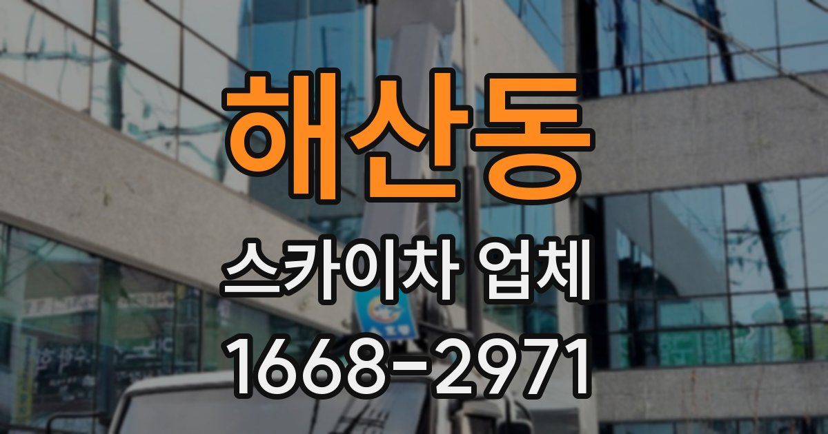 해산동 스카이차 업체