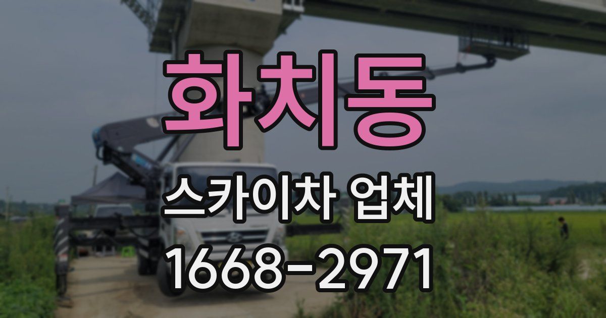 화치동 스카이차 업체