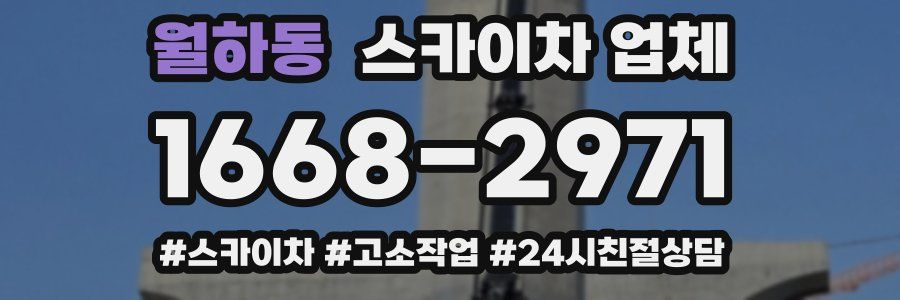 월하동 스카이차 업체