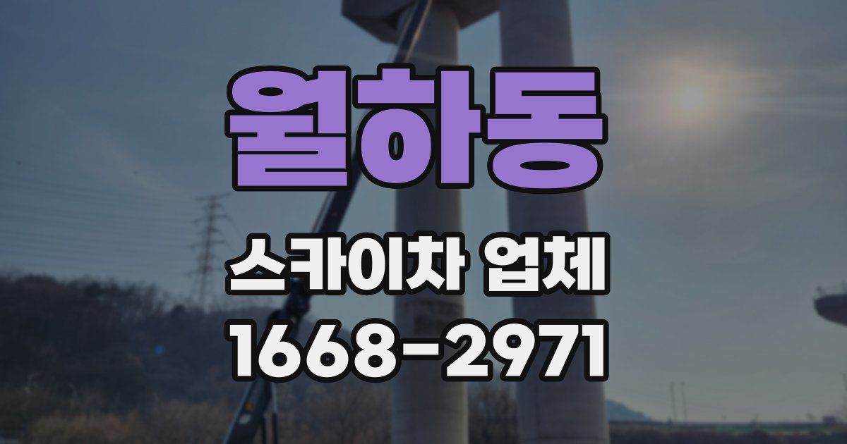 월하동 스카이차 업체
