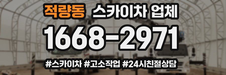 적량동 스카이차 업체