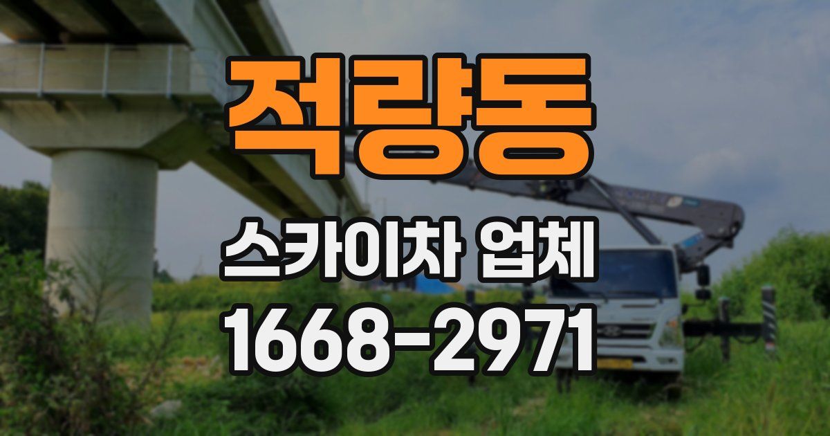 적량동 스카이차 업체