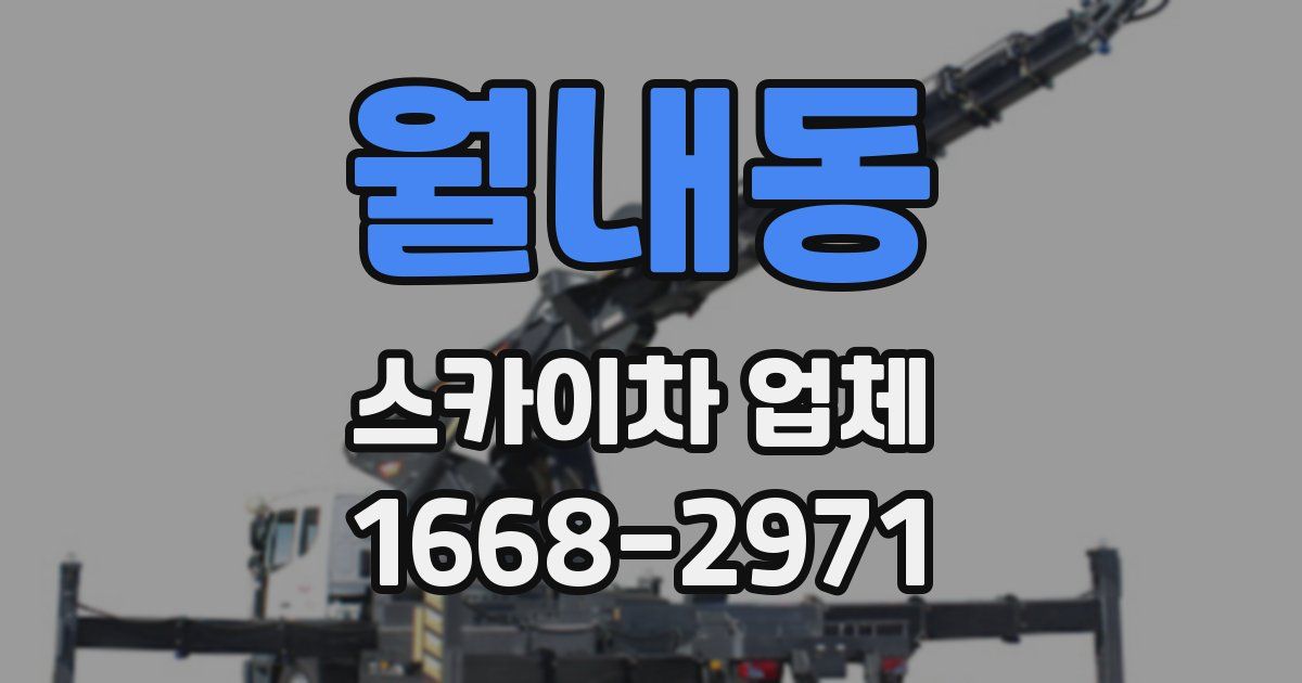 월내동 스카이차 업체