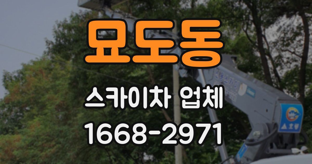 묘도동 스카이차 업체