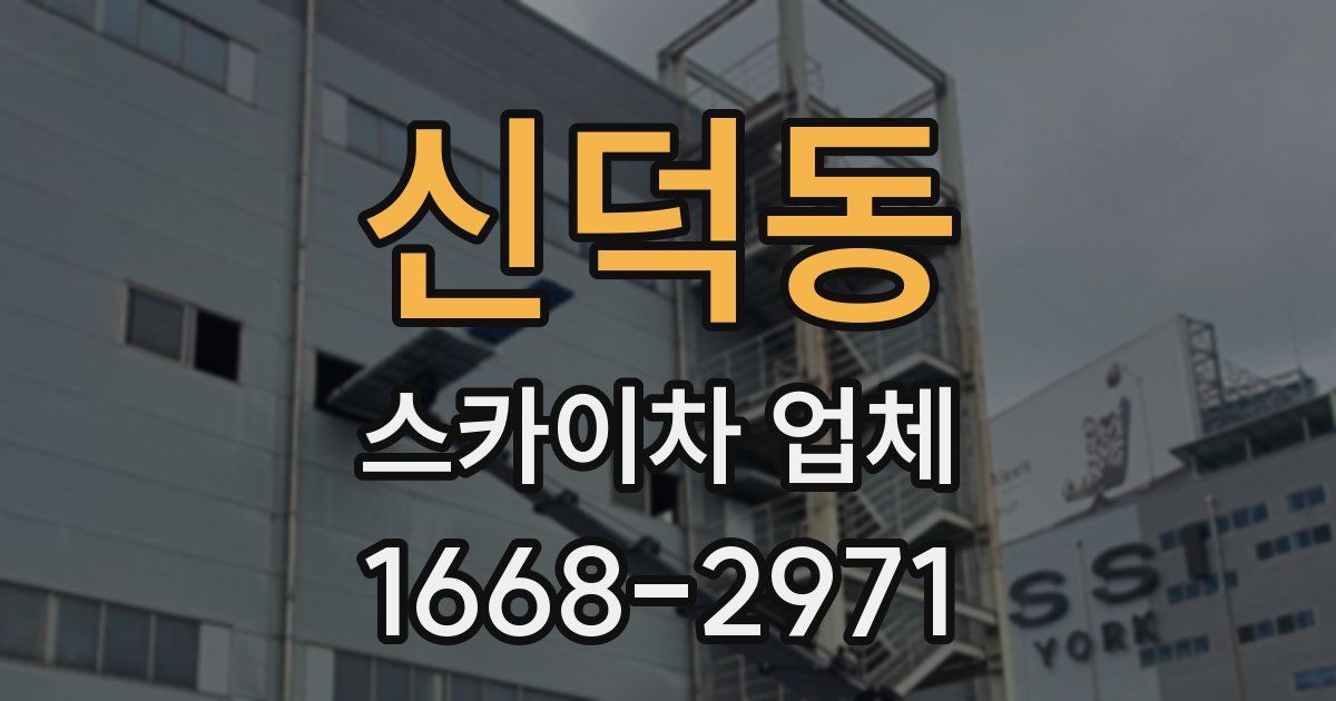 신덕동 스카이차 업체