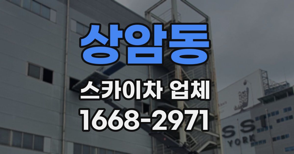 상암동 스카이차 업체