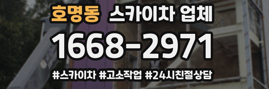 호명동 스카이차 업체