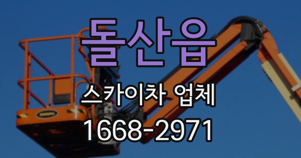 돌산읍 스카이차 업체