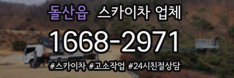 돌산읍 스카이차 업체