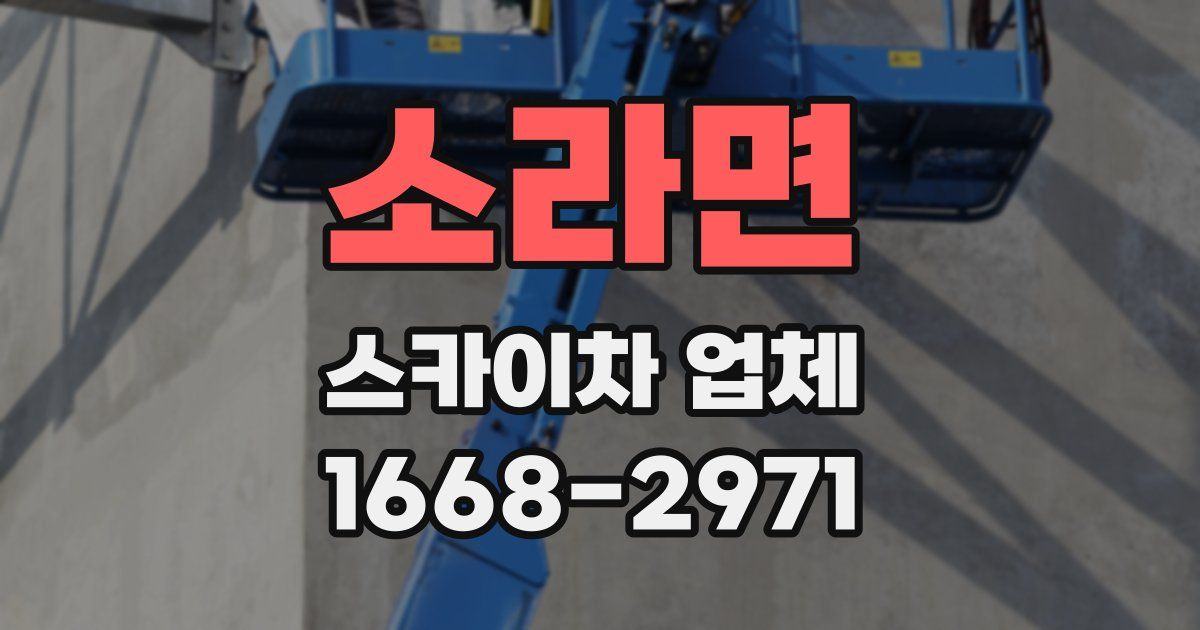 소라면 스카이차 업체