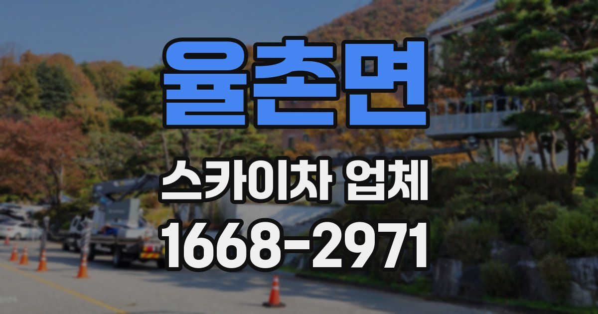 율촌면 스카이차 업체