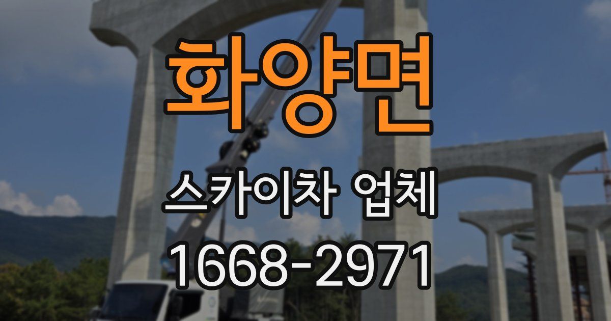 화양면 스카이차 업체