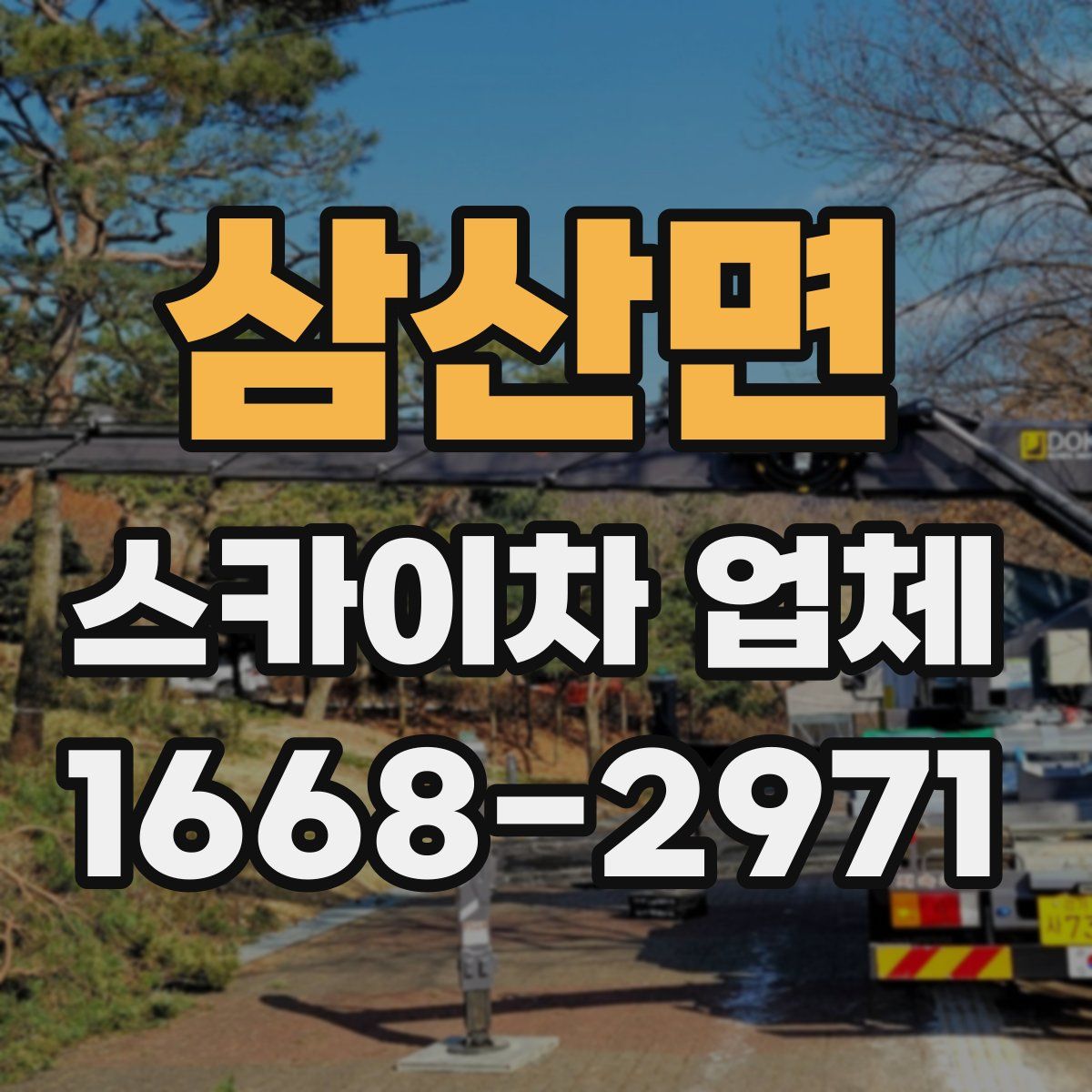 삼산면 스카이차 업체