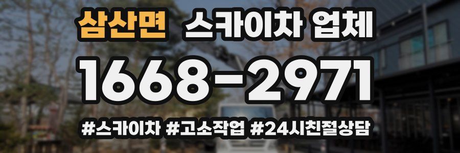 삼산면 스카이차 업체