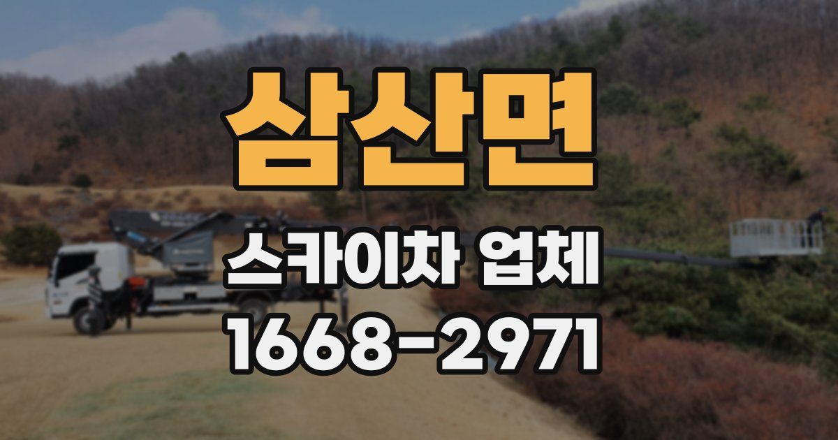 삼산면 스카이차 업체