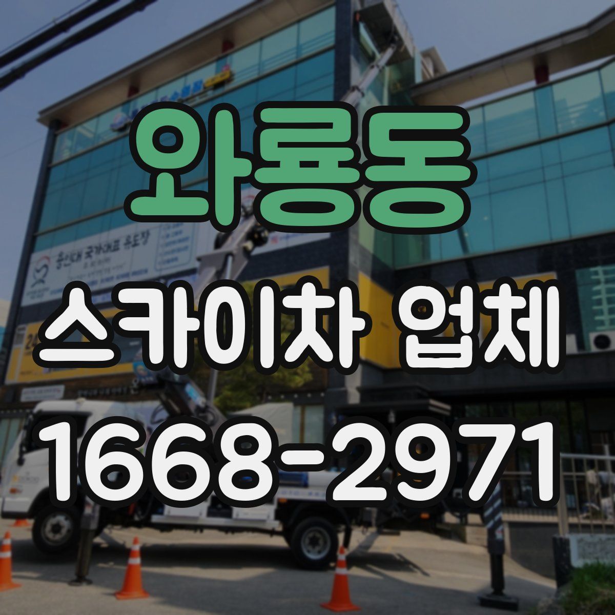 와룡동 스카이차 업체