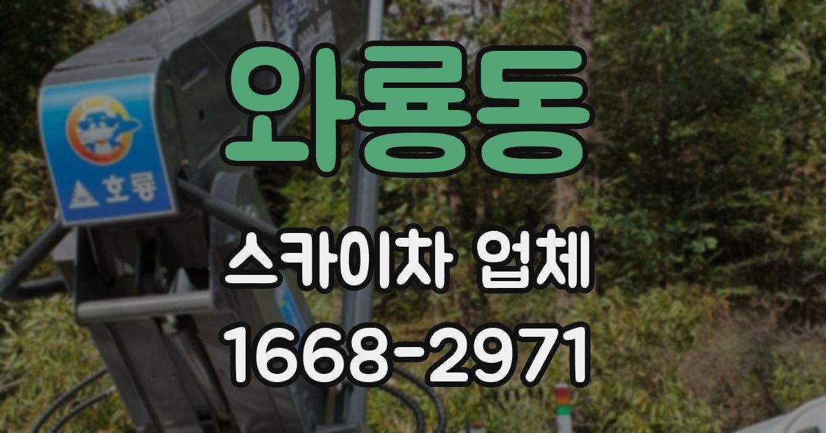 와룡동 스카이차 업체