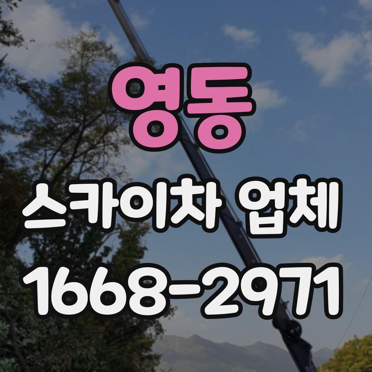 영동 스카이차 업체