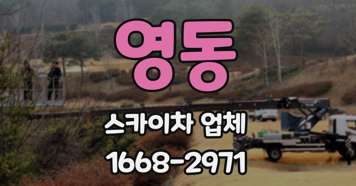 영동 스카이차 업체