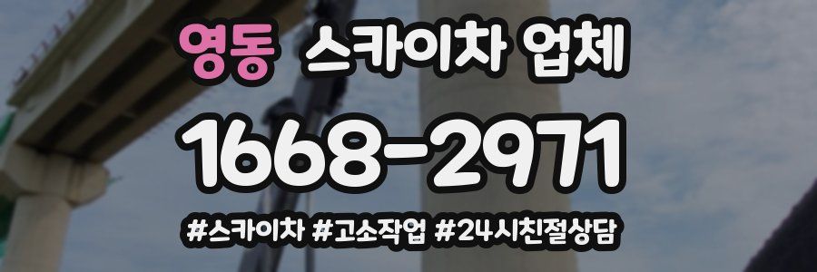 영동 스카이차 업체