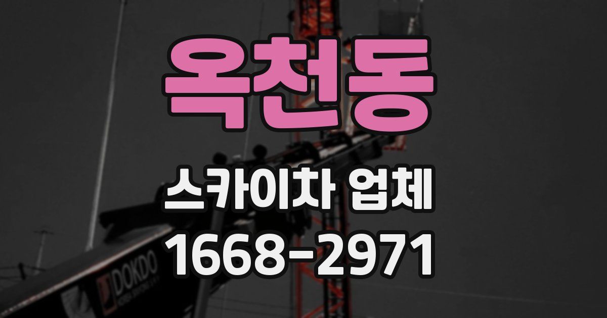 옥천동 스카이차 업체