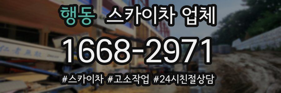 행동 스카이차 업체