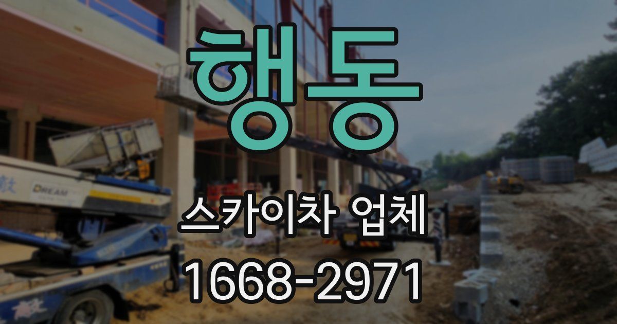 행동 스카이차 업체
