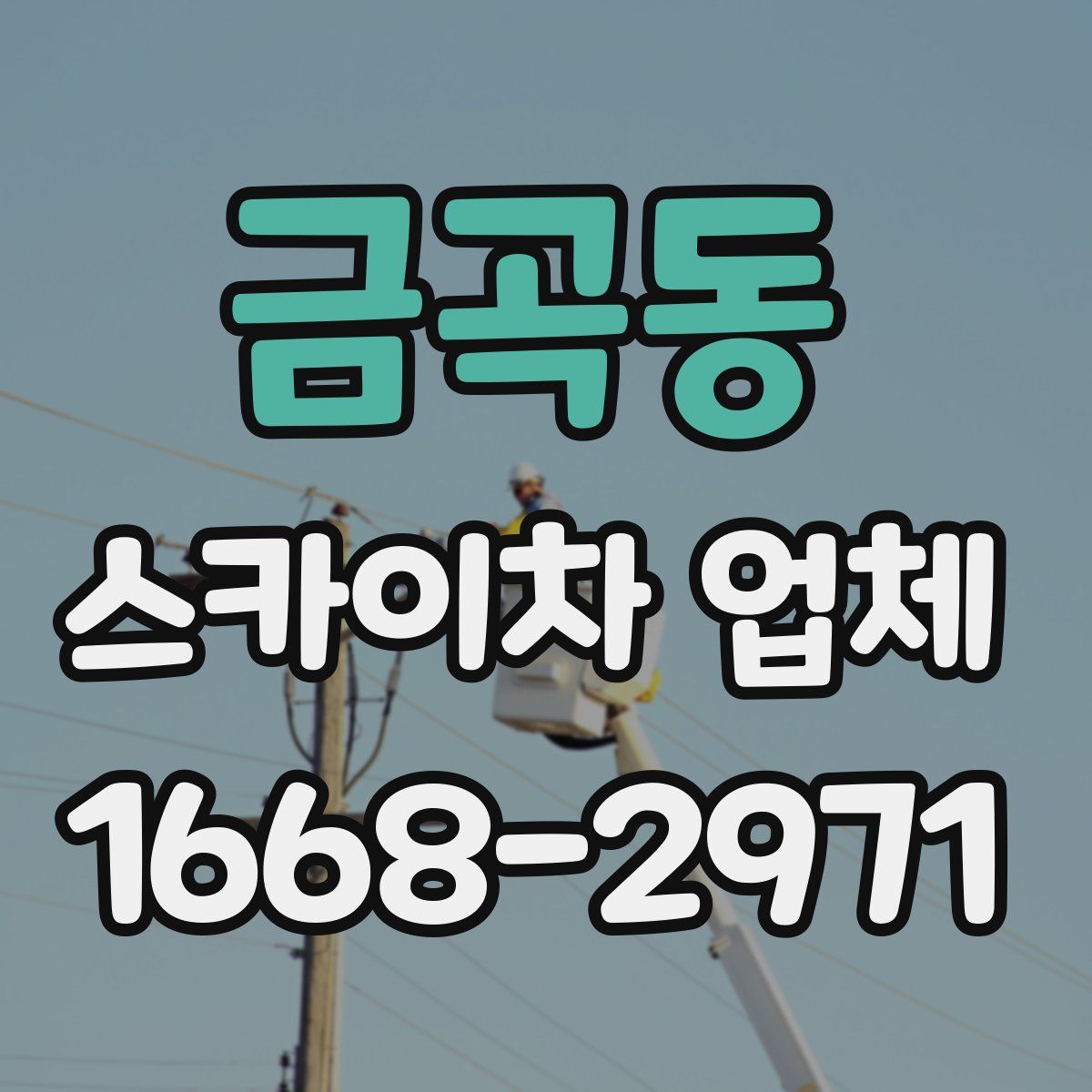 금곡동 스카이차 업체