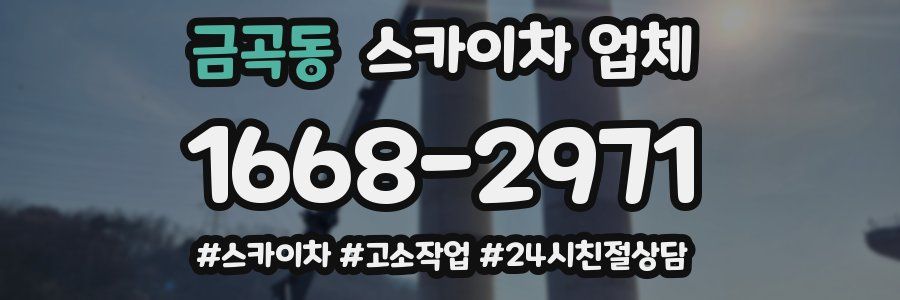 금곡동 스카이차 업체