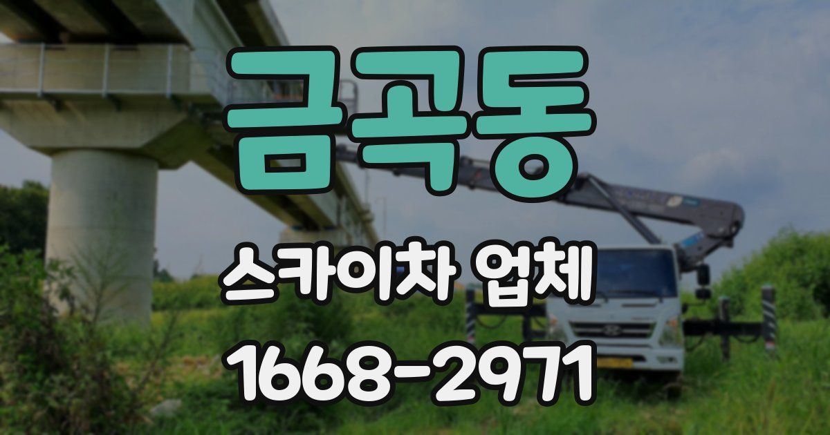 금곡동 스카이차 업체