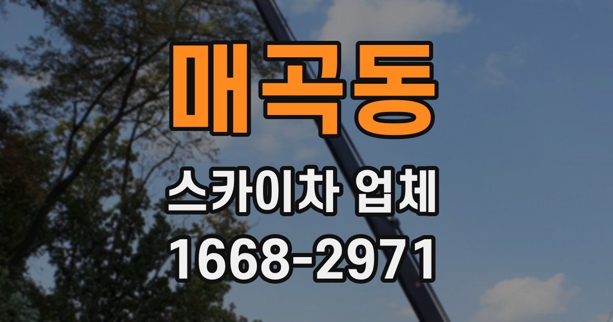 매곡동 스카이차 업체